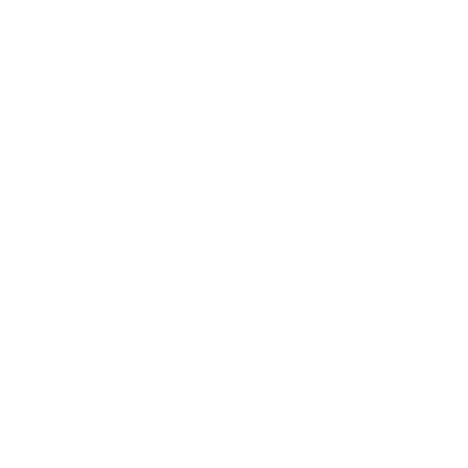 Lara-branco.png